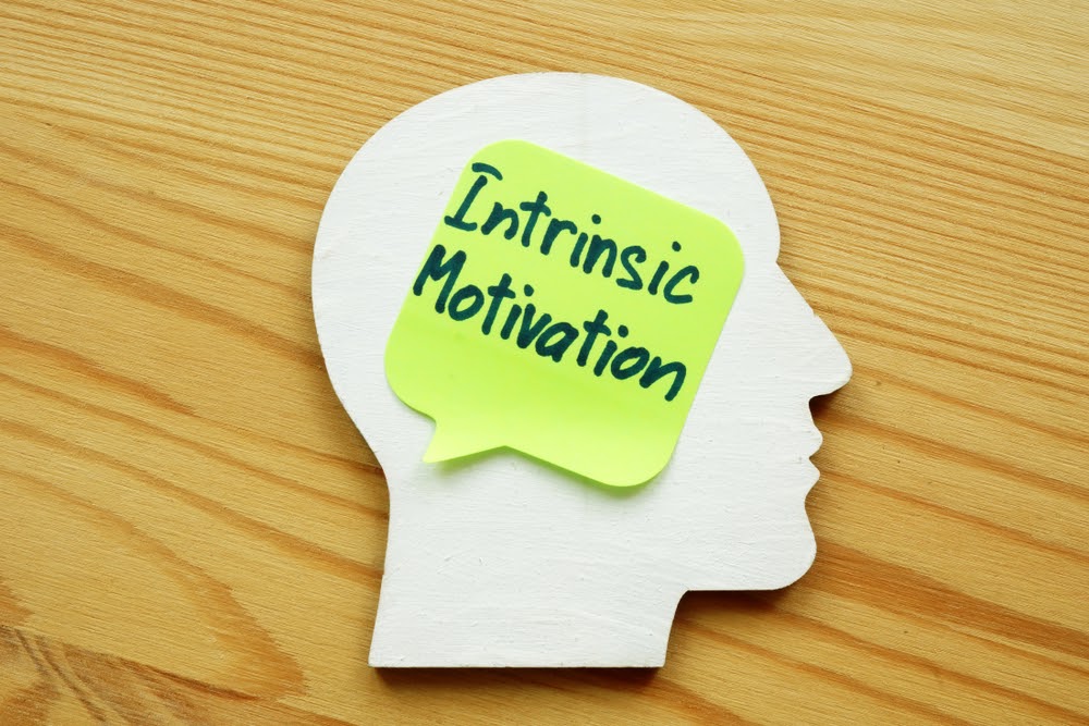 Disadvantages Of Intrinsic Motivation Pdf